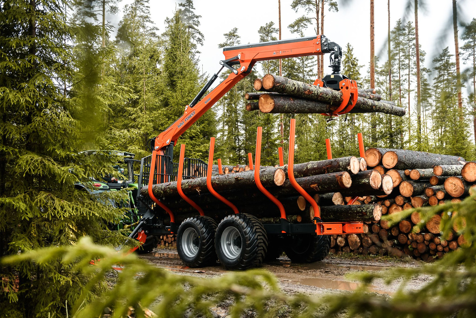 MTM Forest